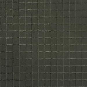 006 Oriental check